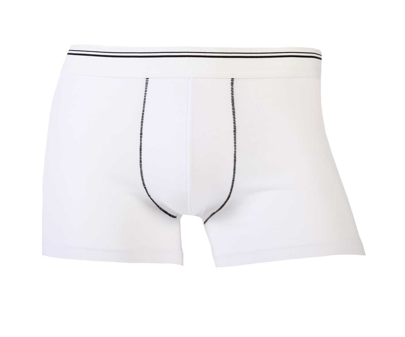 men's modal boxer briefs
