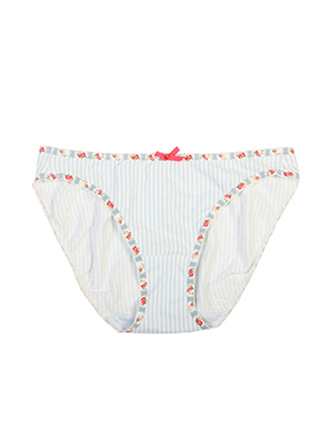 Organic Cotton Briefs Women's